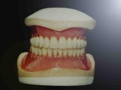 Laboratorio Dental - trabajo-detalles-1